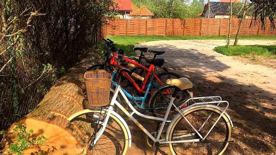 Mszczonów Miodowy Zakatek Caloroczne Domki I Pokoje Przy Suntago, Deepspot, Pyszne Sniadania, Grill, Ognisko מראה חיצוני תמונה