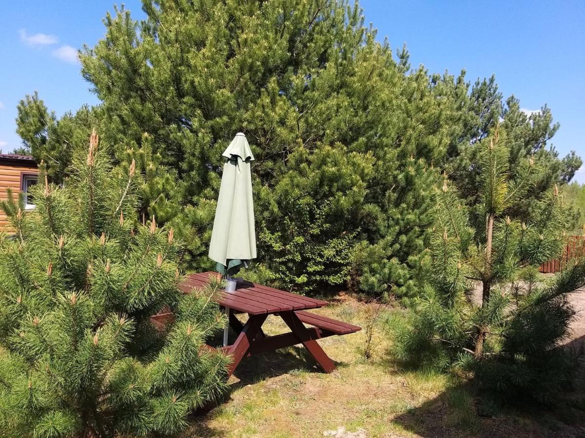 Mszczonów Miodowy Zakatek Caloroczne Domki I Pokoje Przy Suntago, Deepspot, Pyszne Sniadania, Grill, Ognisko מראה חיצוני תמונה